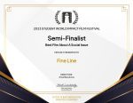 Fine Line - Between despair and hope - semifinalist at the festival in the USA